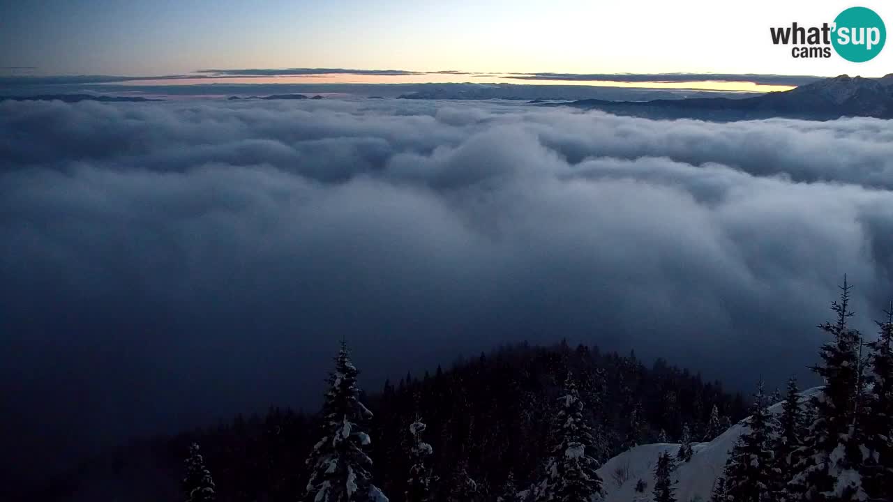 Webcam Koča na Golici (1582 m) – Slovenia