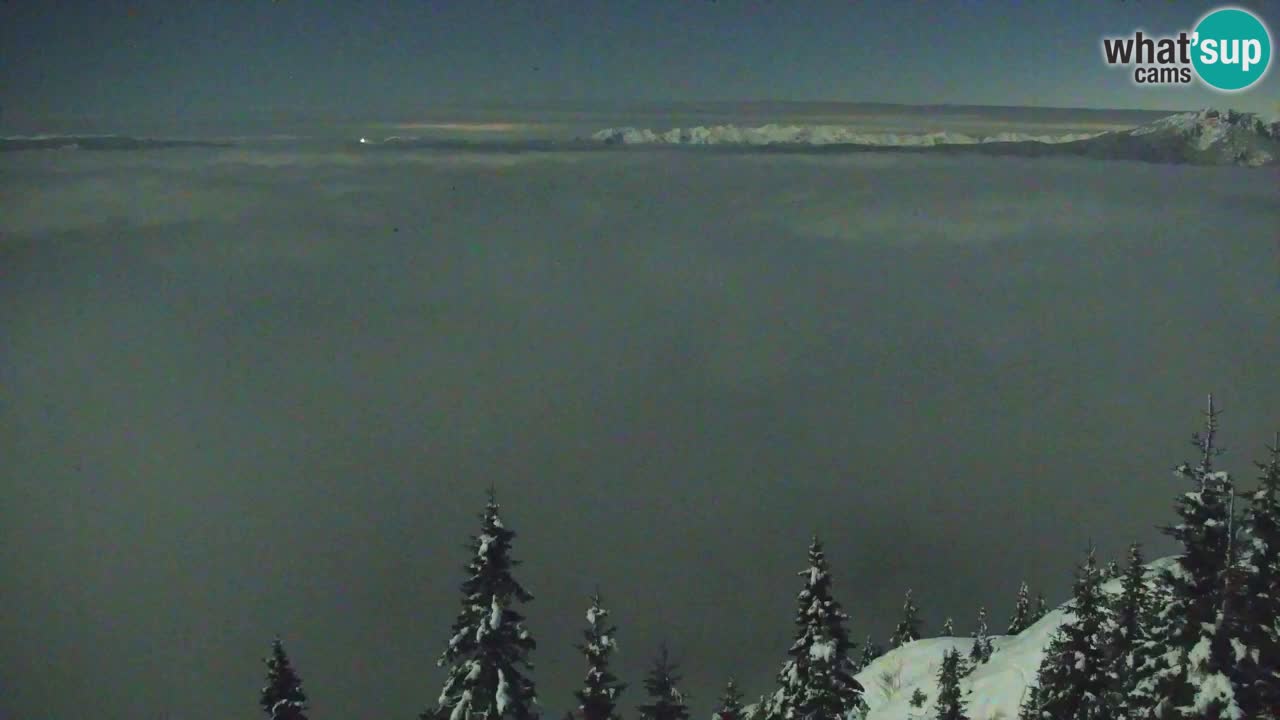 Koča na Golici Webcam (1582 m) – Slowenien