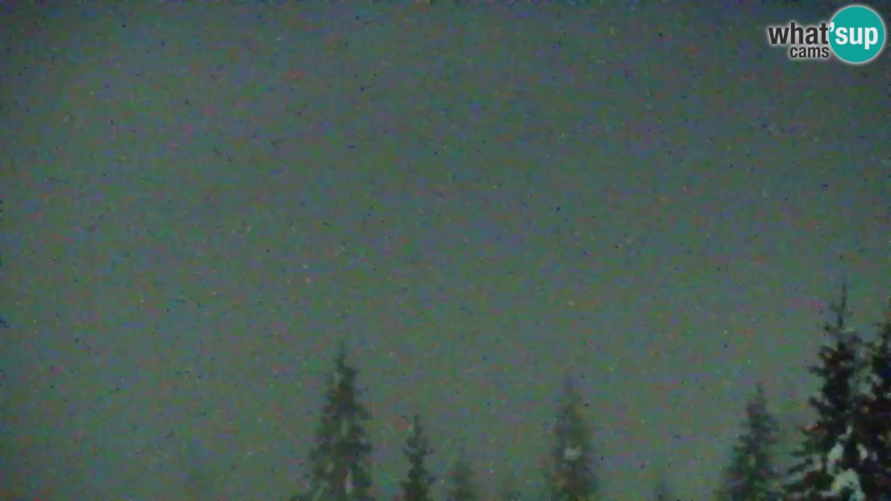 Koča na Golici Webcam (1582 m) – Slowenien