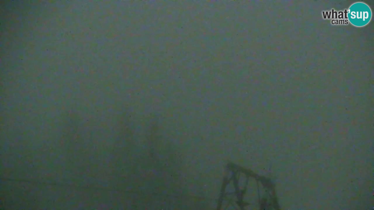 Webcam Koča na Golici (1582 m) – Slovenia