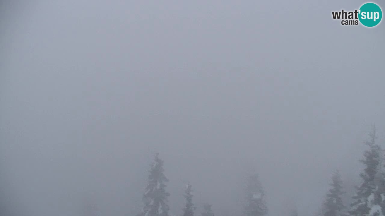 Web kamera Koča na Golici (1582 m) – Slovenija