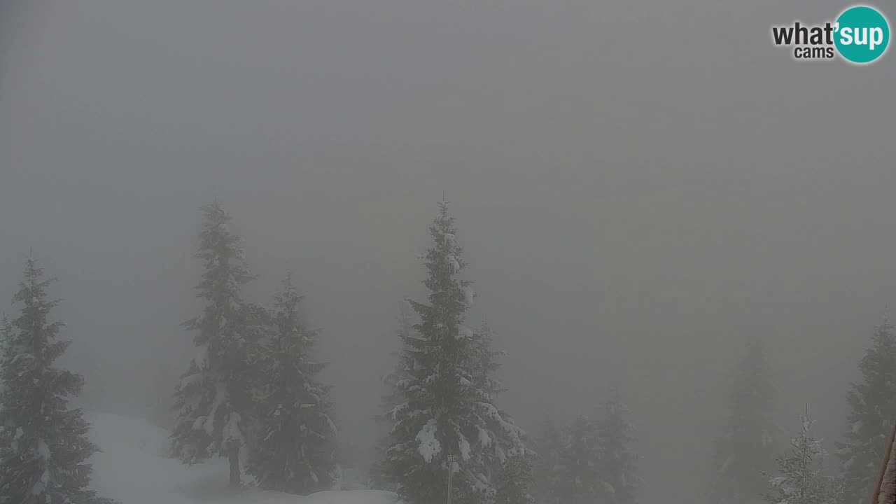 Web kamera Koča na Golici (1582 m) – Slovenija