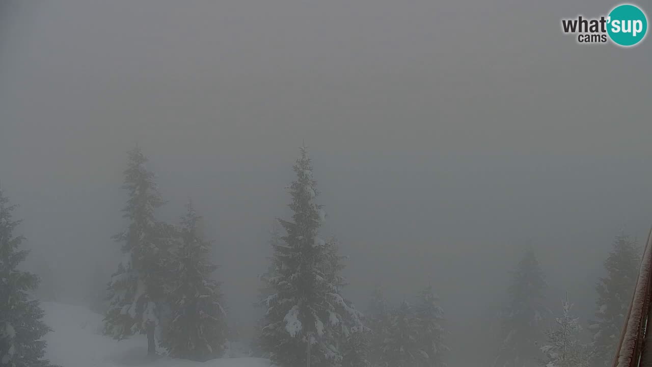 Webcam na Golici – Baita di montagna (1582 m) – Slovenia