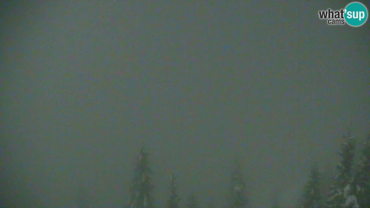 Webcam Koča na Golici (1582 m) – Slovenia