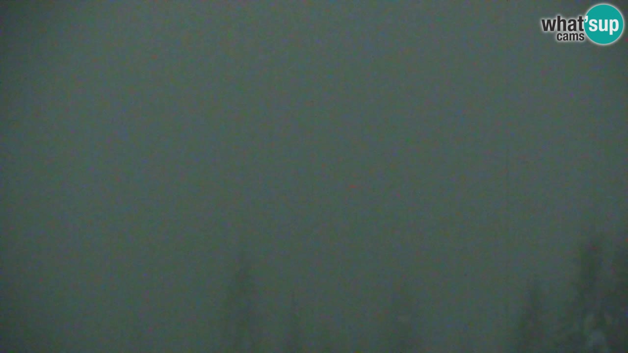 Web kamera Koča na Golici (1582 m) – Slovenija