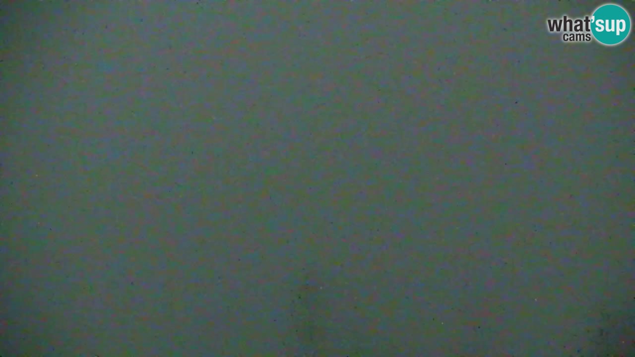 Webcam Koča na Golici (1582 m) – Slovenia