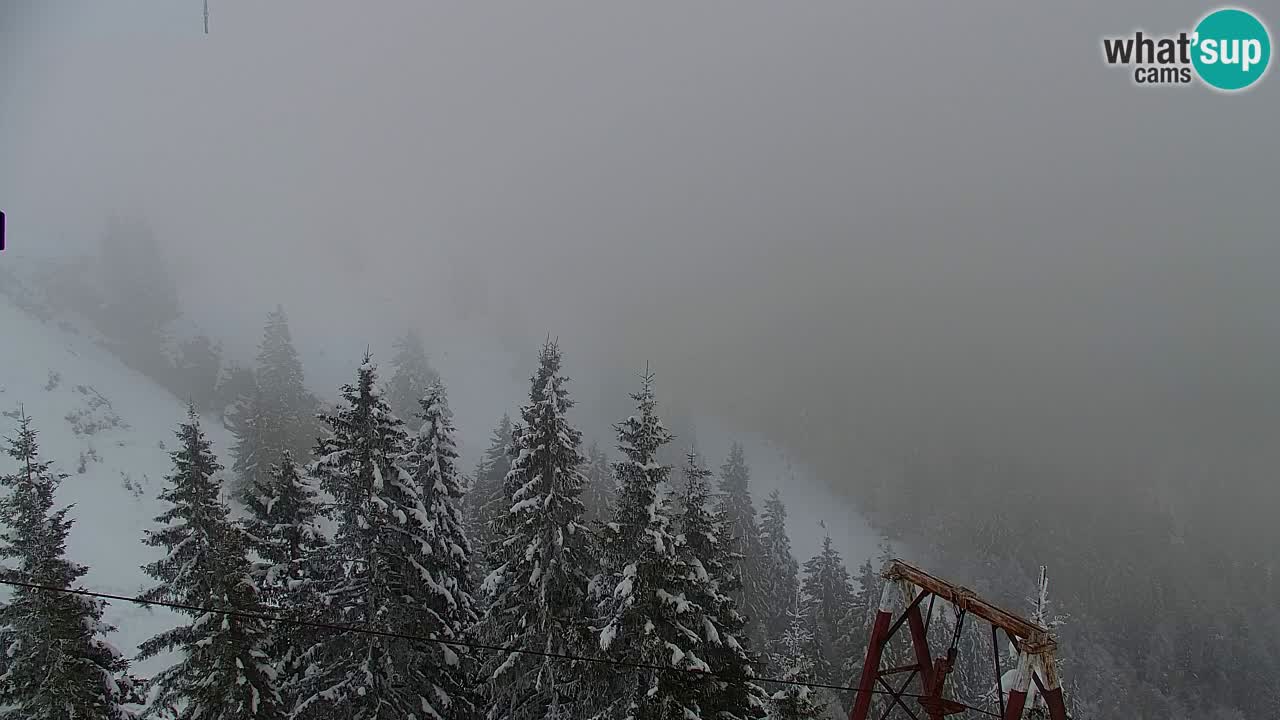 Koča na Golici Webcam (1582 m) – Slowenien