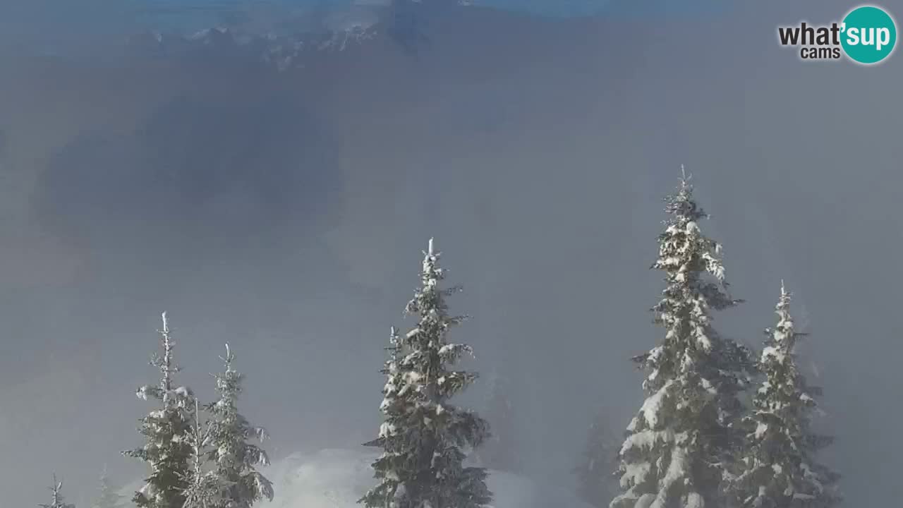 Webcam na Golici – Baita di montagna (1582 m) – Slovenia