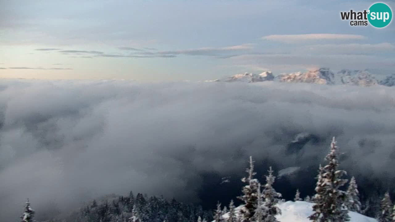 Spletna kamera Koča na Golici (1582 m) – Jesenice