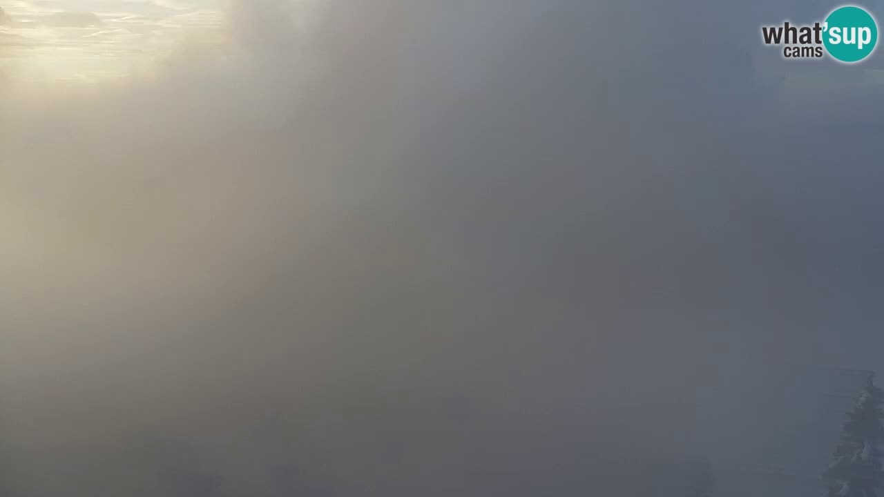 Koča na Golici Webcam (1582 m) – Slowenien