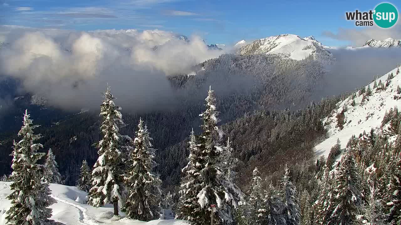 Web kamera Koča na Golici (1582 m) – Slovenija