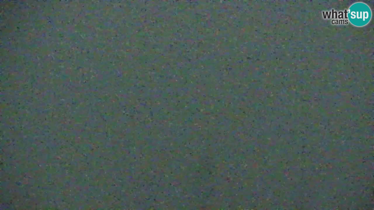 Webcam Koča na Golici (1582 m) – Slovenia