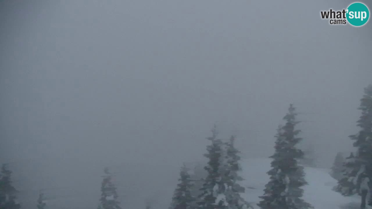 Webcam Koča na Golici (1582 m) – Slovenia