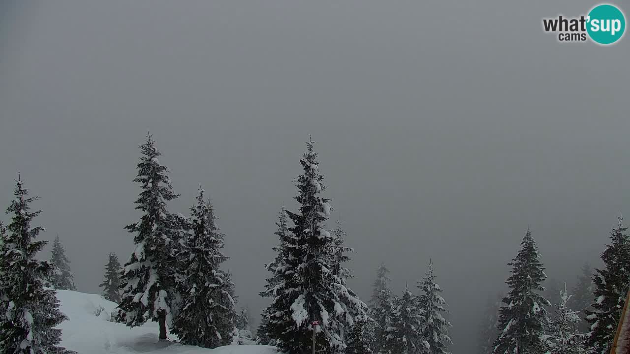 Koča na Golici Webcam (1582 m) – Slowenien