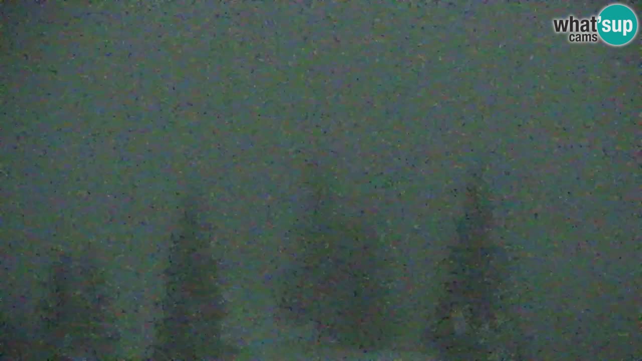 Koča na Golici Webcam (1582 m) – Slowenien