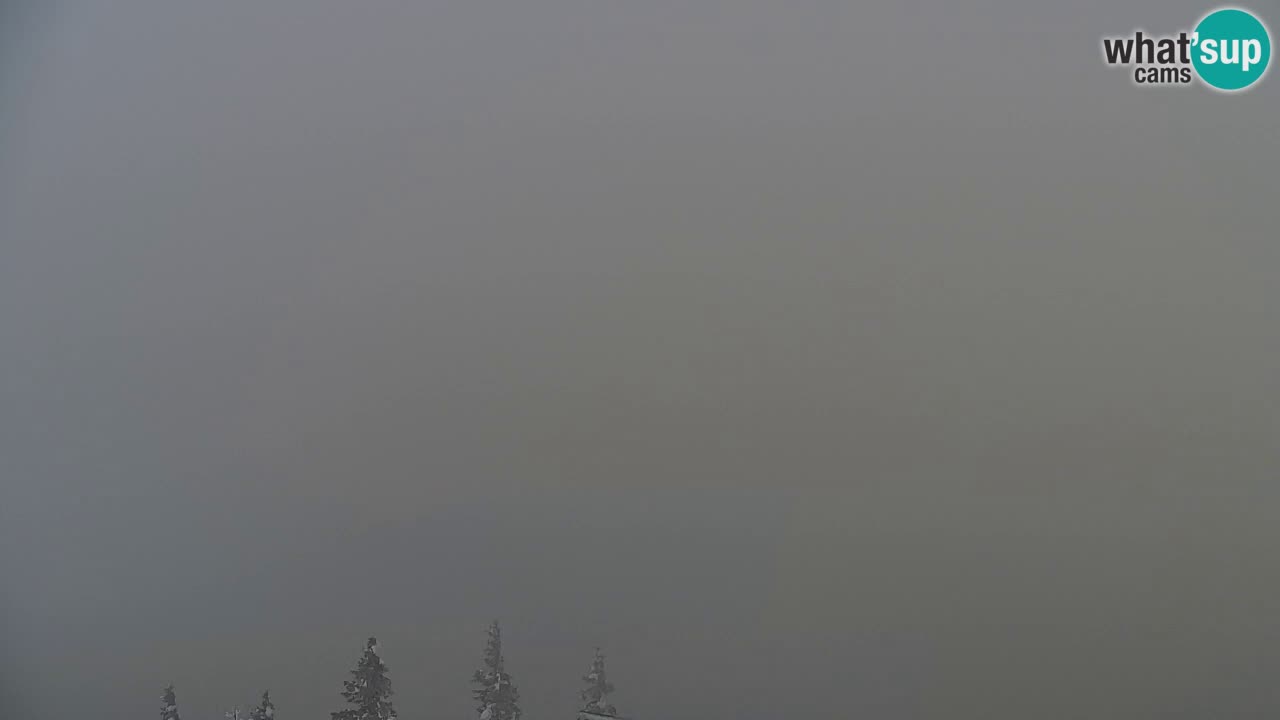 Web kamera Koča na Golici (1582 m) – Slovenija