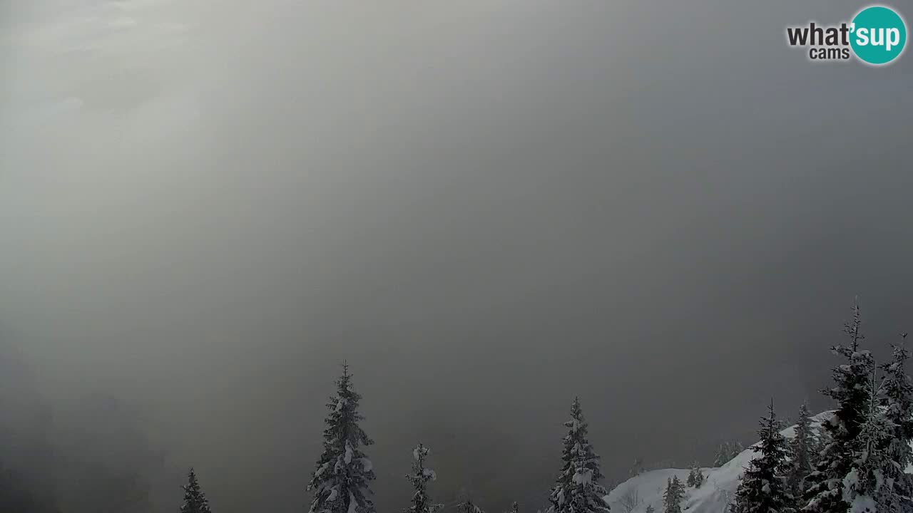 Webcam en Golica (1582 m) – Eslovenia