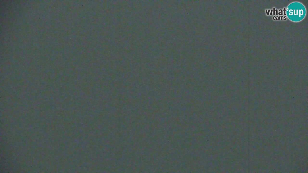 Koča na Golici Webcam (1582 m) – Slowenien