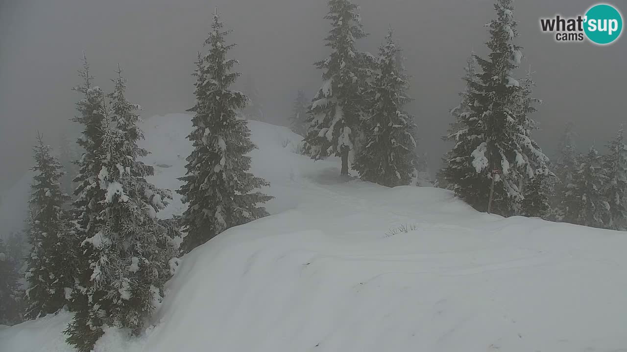 Webcam na Golici – Baita di montagna (1582 m) – Slovenia