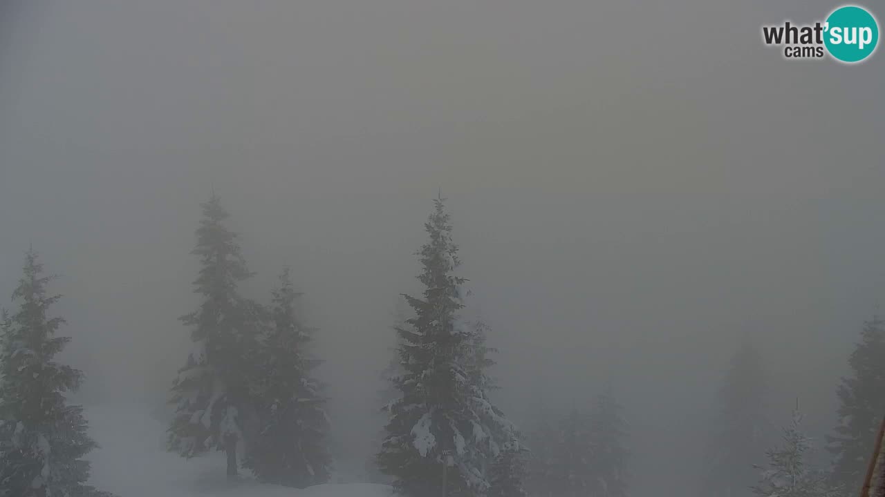 Koča na Golici Webcam (1582 m) – Slowenien