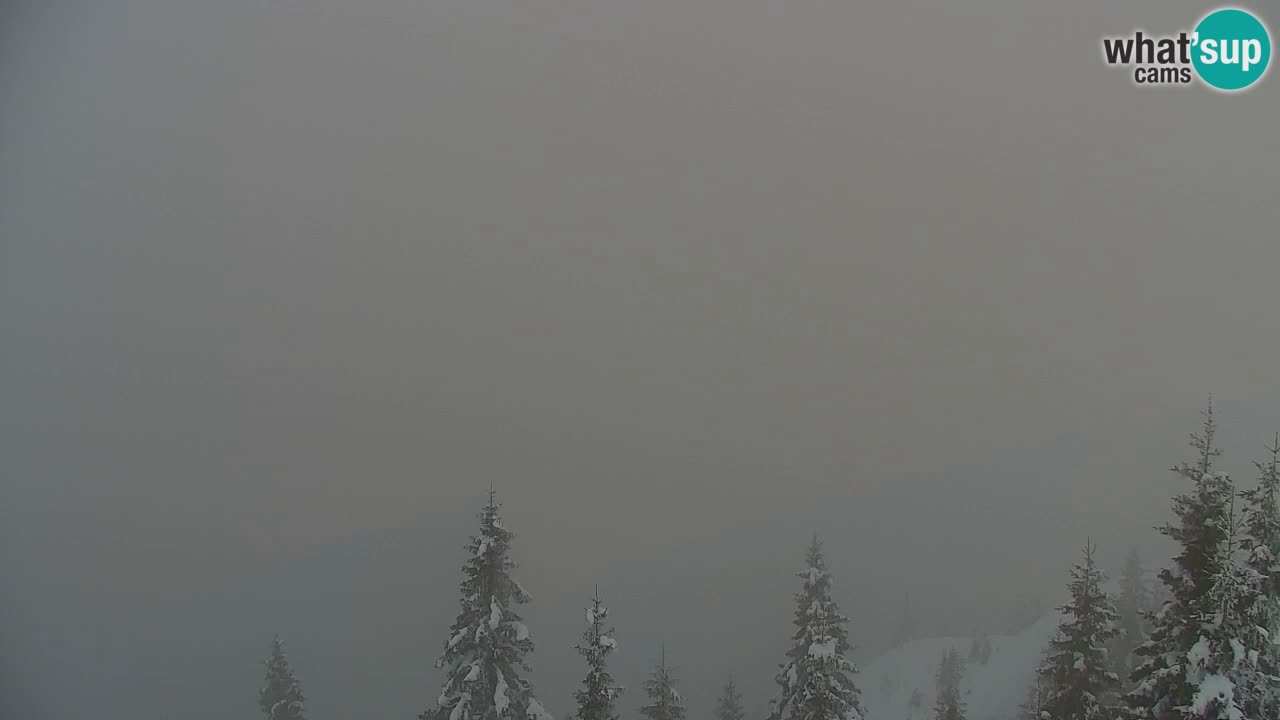 Web kamera Koča na Golici (1582 m) – Slovenija