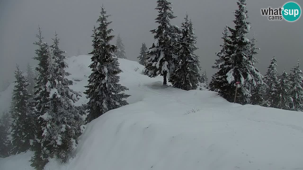 Spletna kamera Koča na Golici (1582 m) – Jesenice