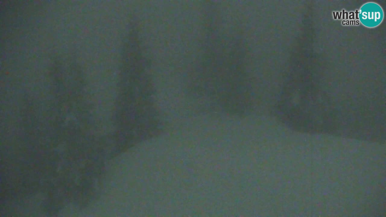 Webcam Koča na Golici (1582 m) – Slovenia