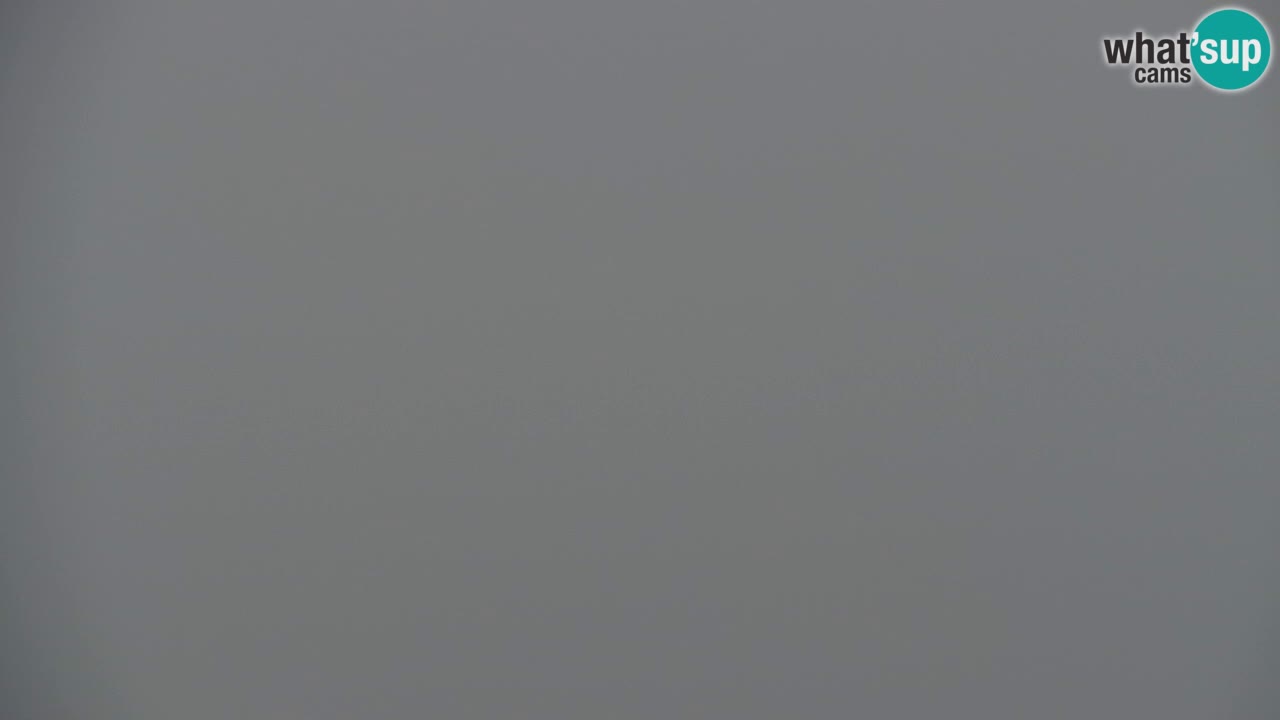 Web kamera Koča na Golici (1582 m) – Slovenija