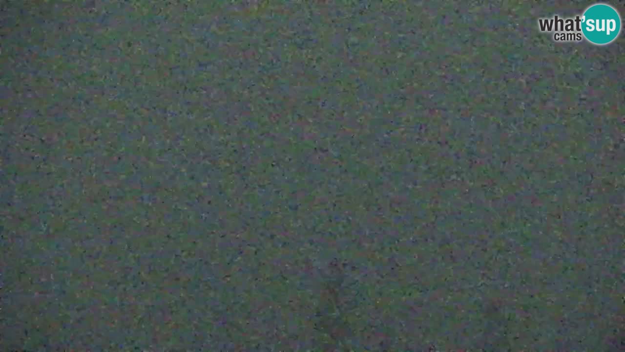 Webcam Koča na Golici (1582 m) – Slovenia