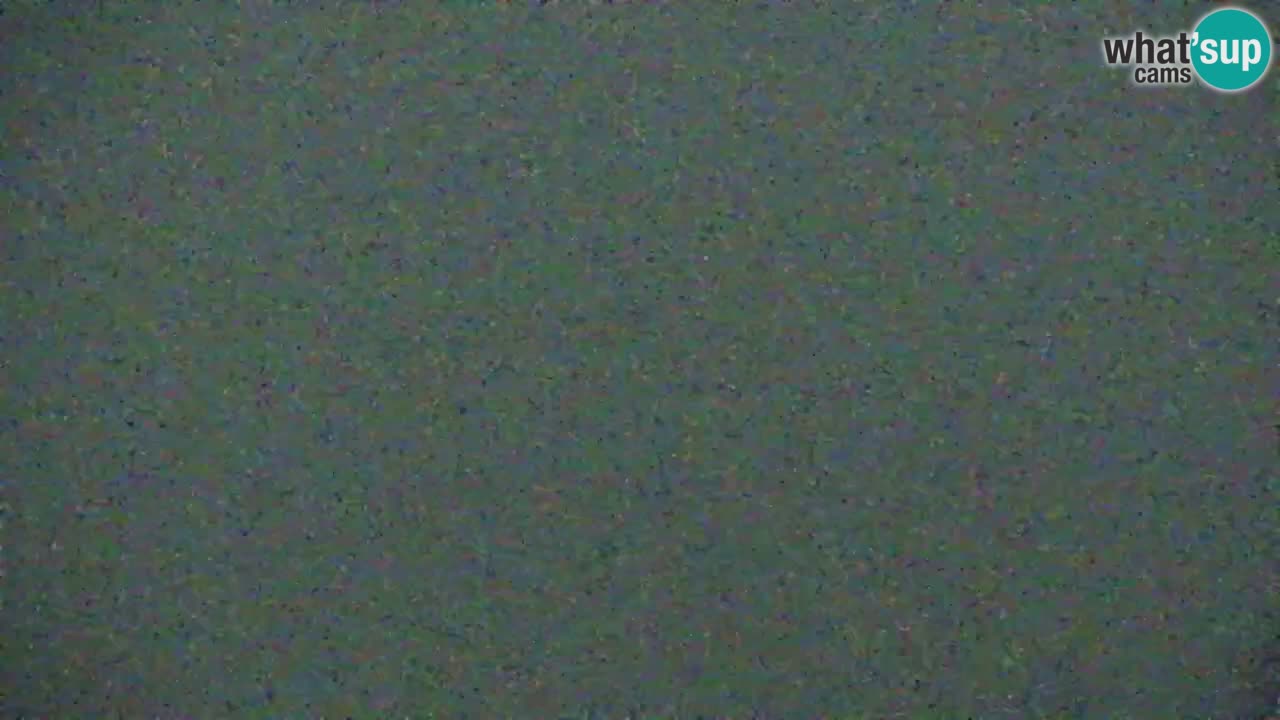 Koča na Golici Webcam (1582 m) – Slowenien