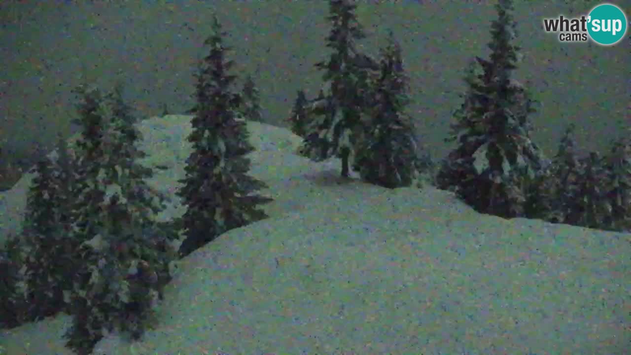 Spletna kamera Koča na Golici (1582 m) – Jesenice