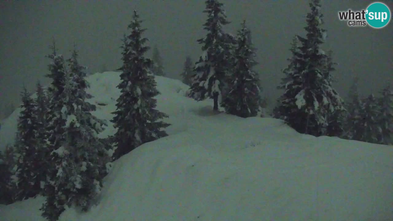 Webcam Koča na Golici (1582 m) – Slovenia