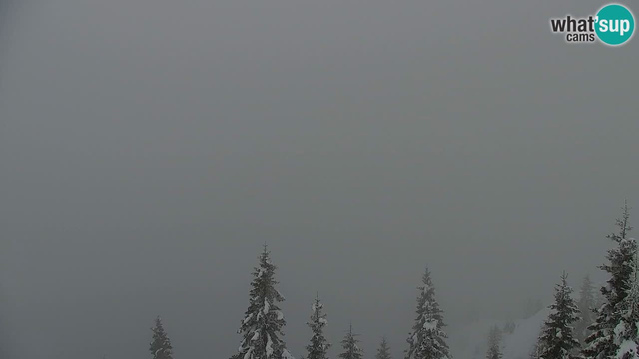 Webcam Koča na Golici (1582 m) – Slovenia