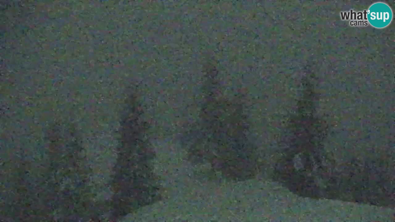 Koča na Golici Webcam (1582 m) – Slowenien