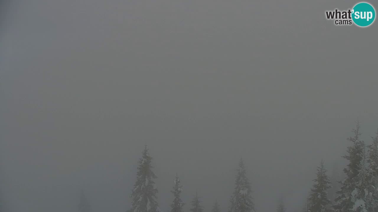 Webcam Koča na Golici (1582 m) – Slovenia