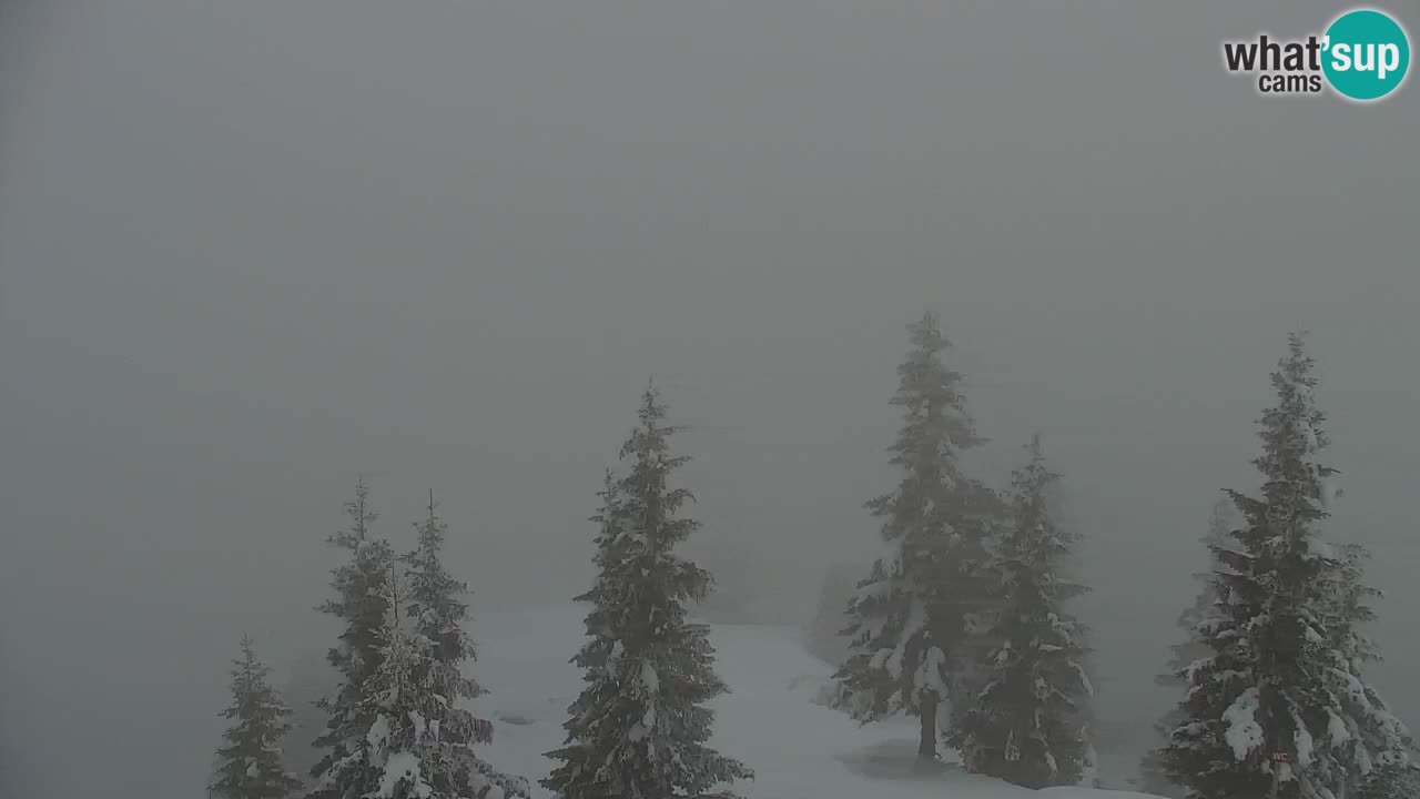 Webcam en Golica (1582 m) – Eslovenia