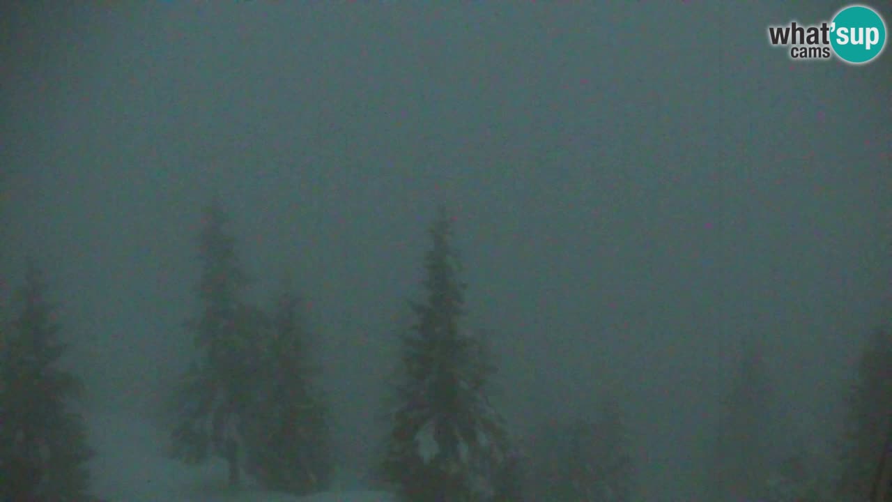 Koča na Golici Webcam (1582 m) – Slowenien