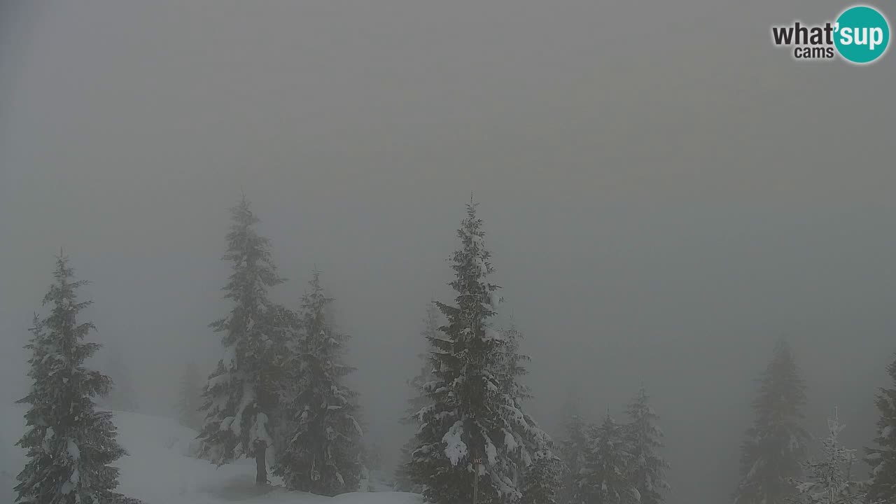 Spletna kamera Koča na Golici (1582 m) – Jesenice