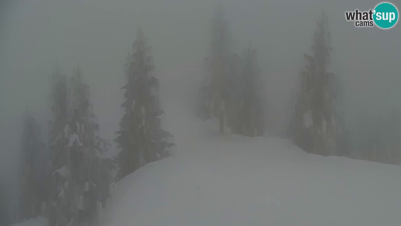 Web kamera Koča na Golici (1582 m) – Slovenija