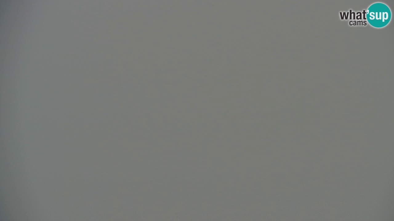 Webcam Koča na Golici (1582 m) – Slovenia