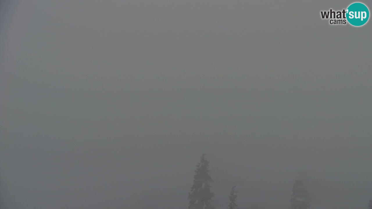 Webcam Koča na Golici (1582 m) – Slovenia