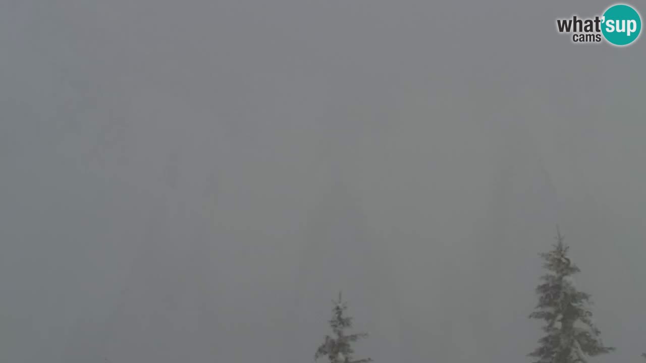 Webcam na Golici – Baita di montagna (1582 m) – Slovenia