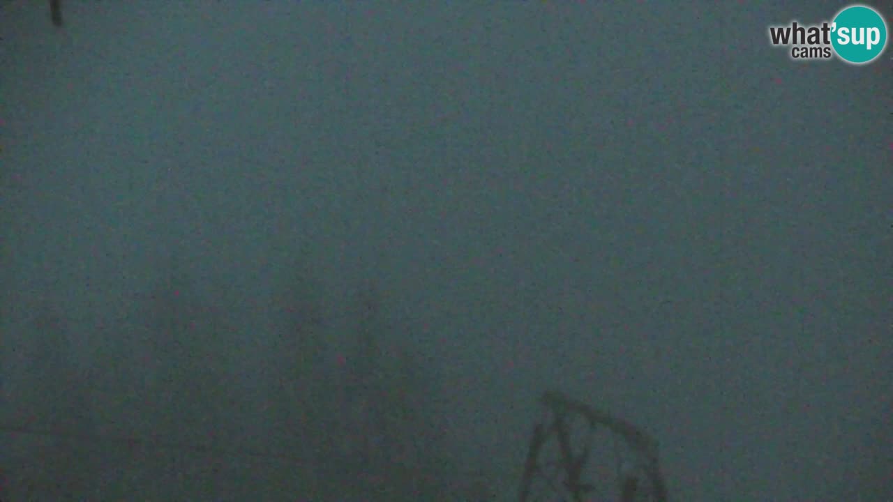 Webcam Koča na Golici (1582 m) – Slovenia