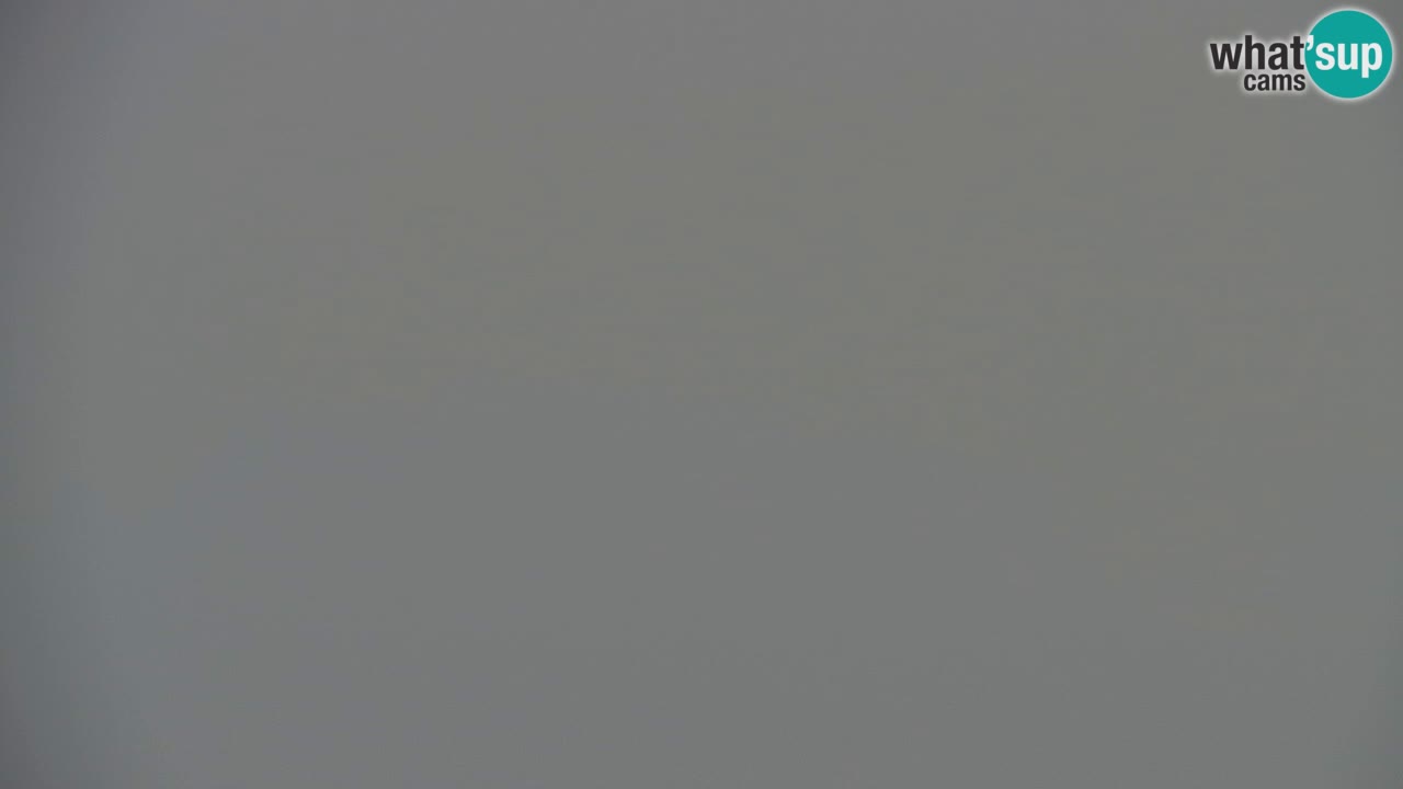 Webcam Koča na Golici (1582 m) – Slovenia