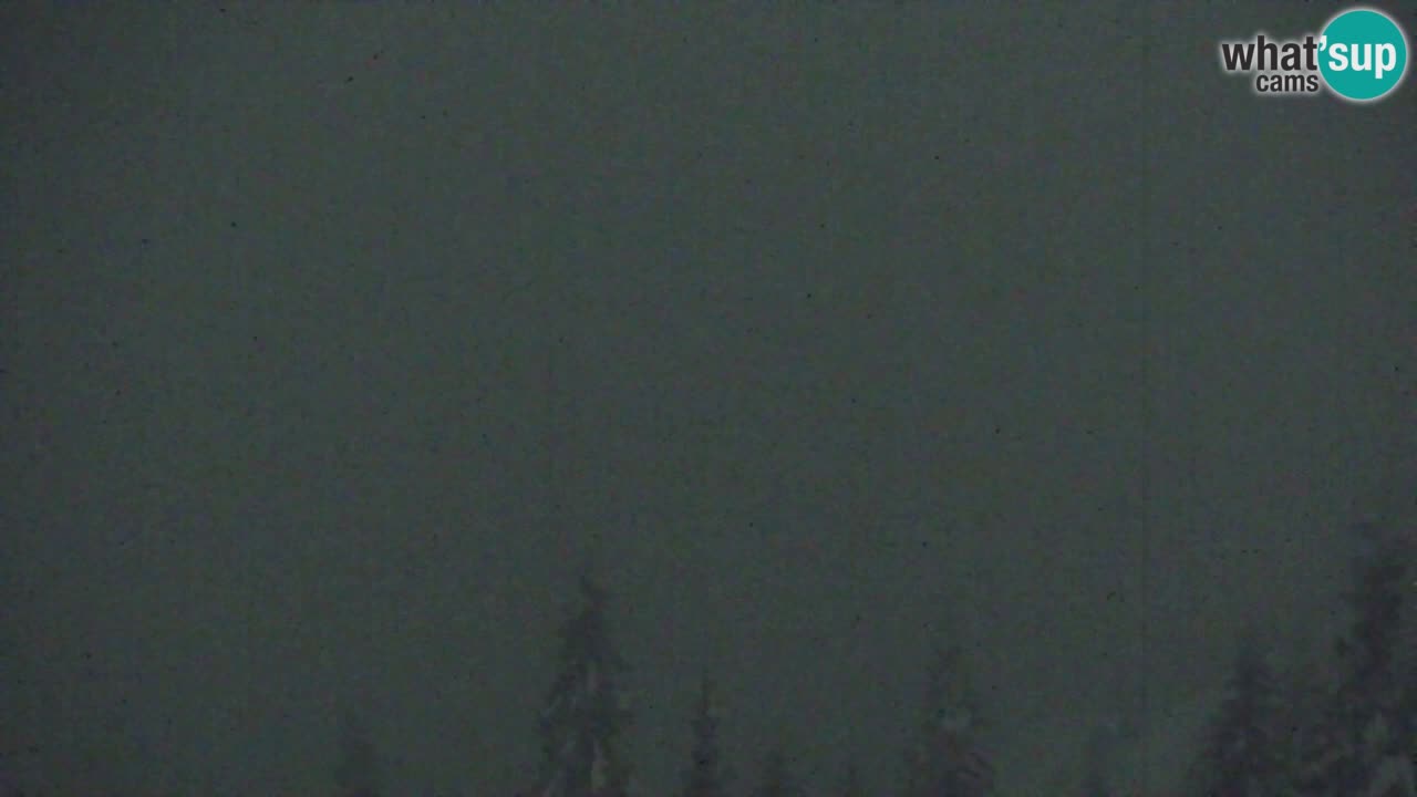 Webcam Koča na Golici (1582 m) – Slovenia