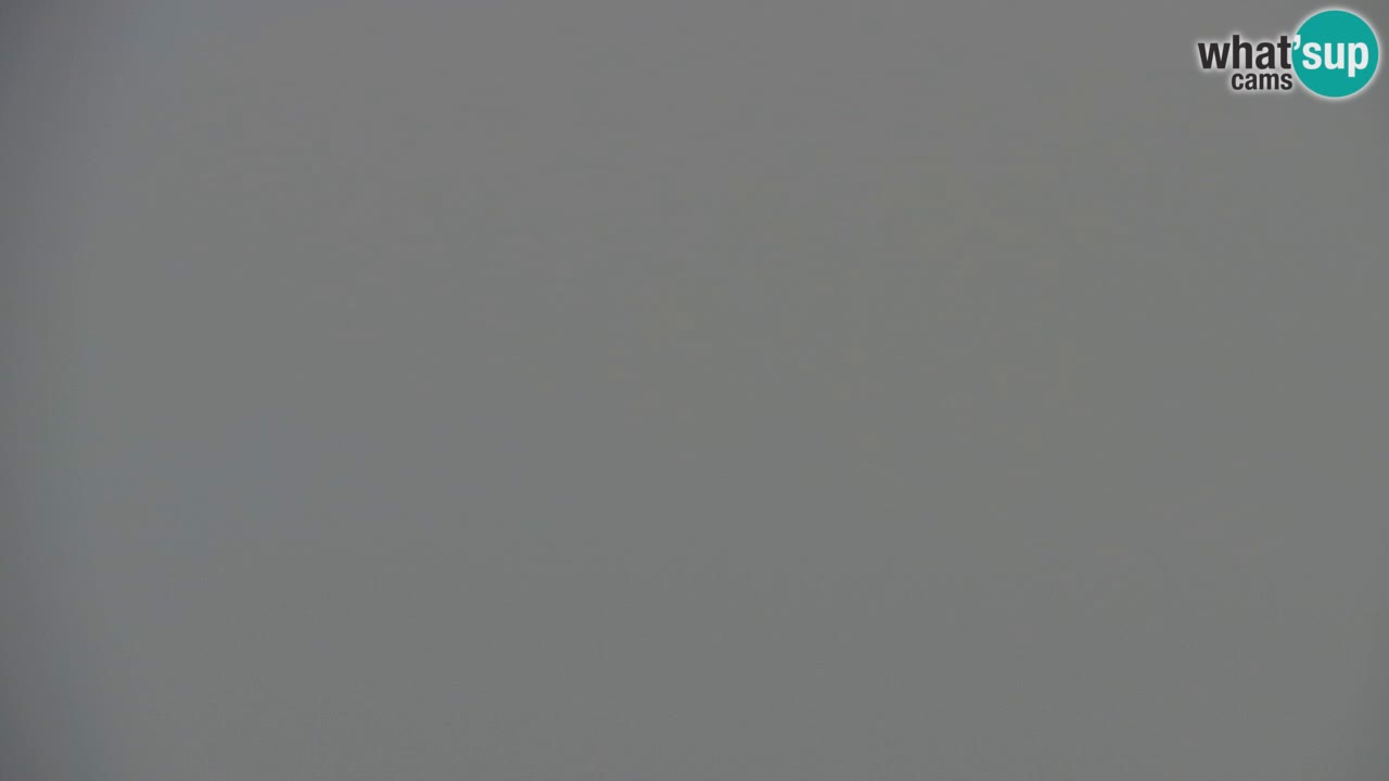 Webcam Koča na Golici (1582 m) – Slovenia