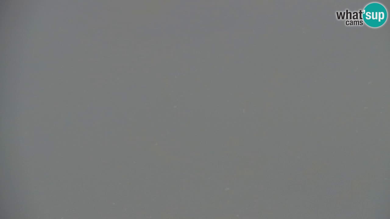 Webcam Koča na Golici (1582 m) – Slovenia