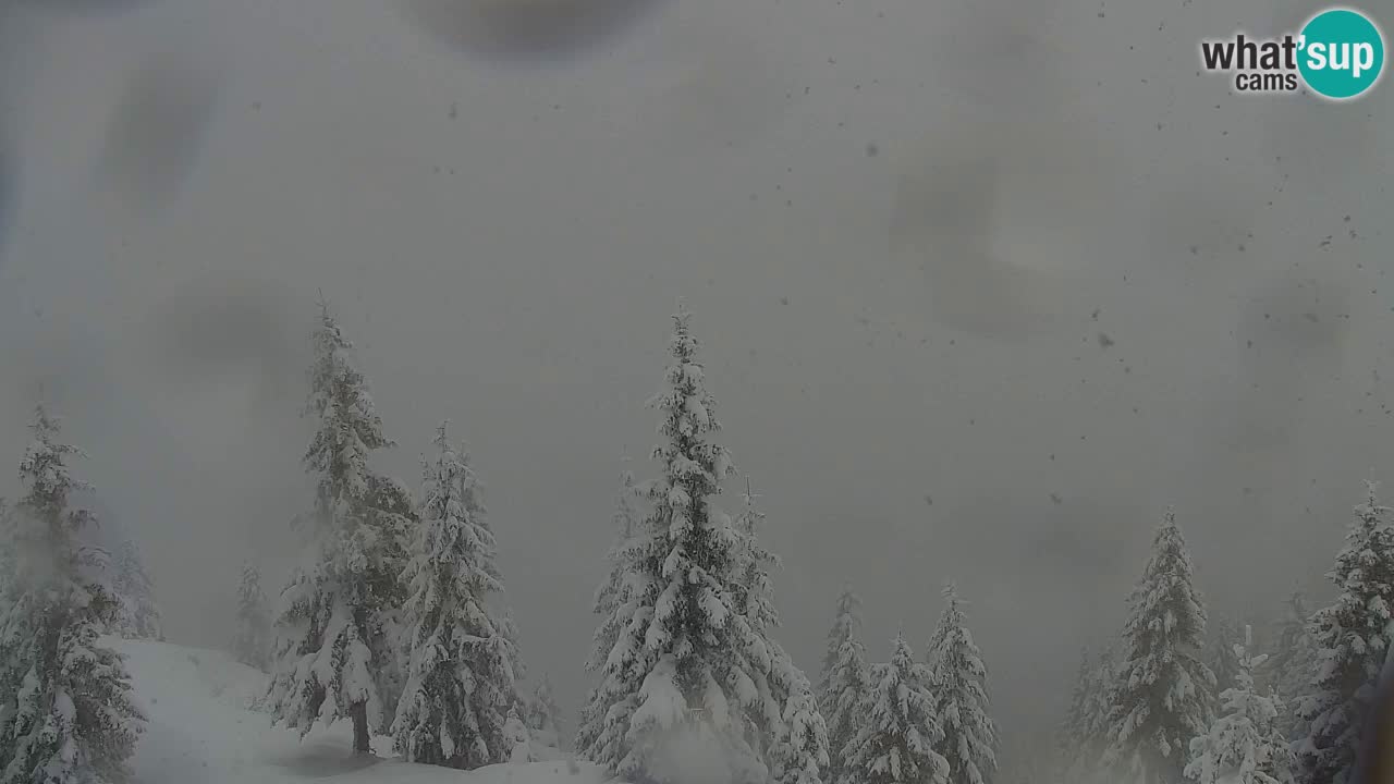 Koča na Golici Webcam (1582 m) – Slowenien