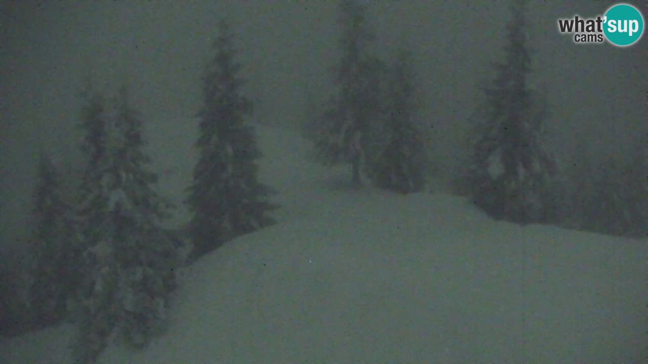 Web kamera Koča na Golici (1582 m) – Slovenija