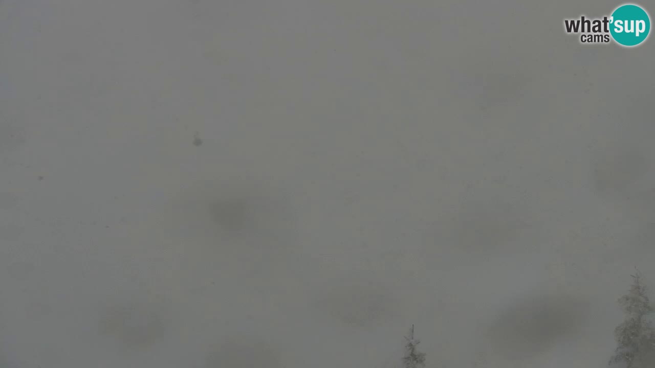 Webcam na Golici – Baita di montagna (1582 m) – Slovenia